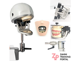 E2 Frasaco Phantomkopf Tischbefestigung ohne Dentalmodelle