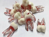 Endodontie Training Zähne